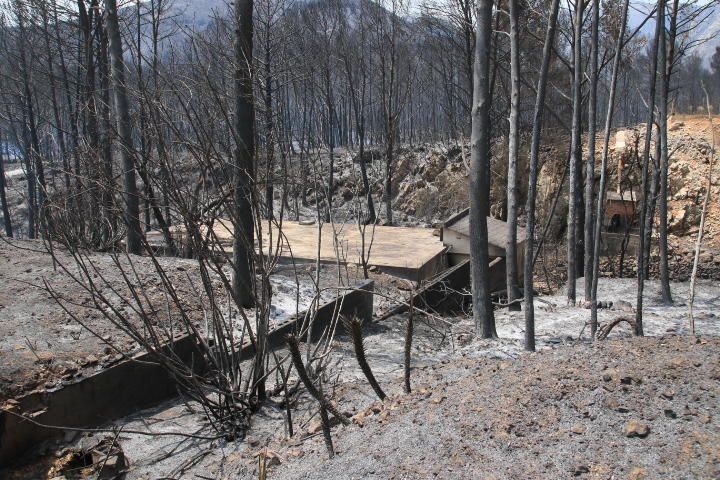 Incendio forestal entre Pinet, La drova y Marxuquera