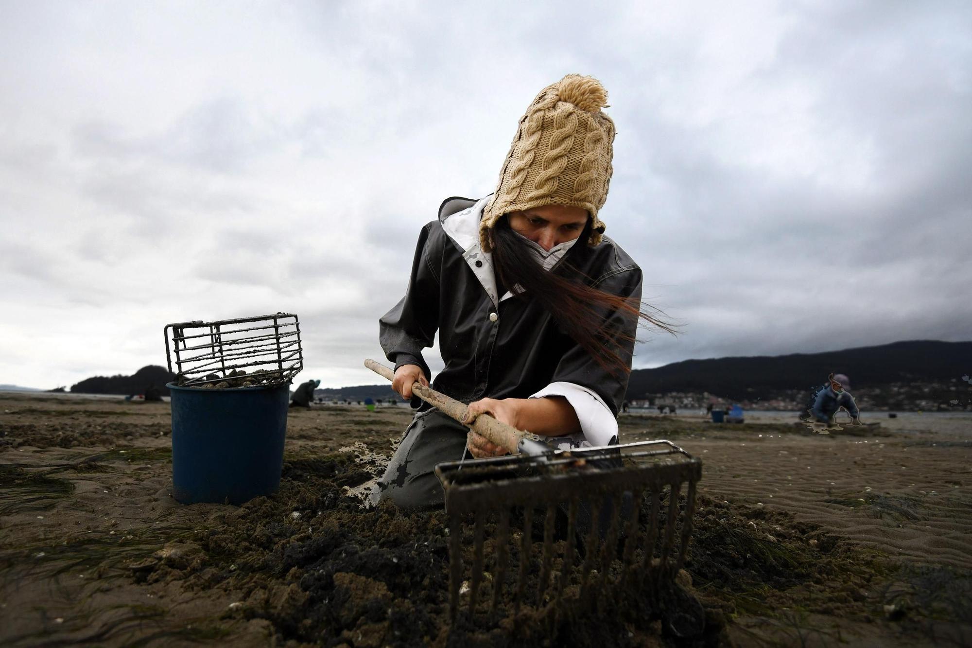 Las mariscadoras vuelven a faenar