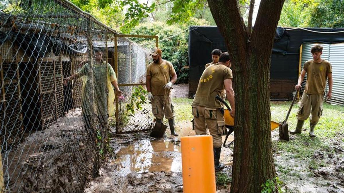Trabajadores y voluntarios de Safari Park achicaron agua durante todo el fin de semana.