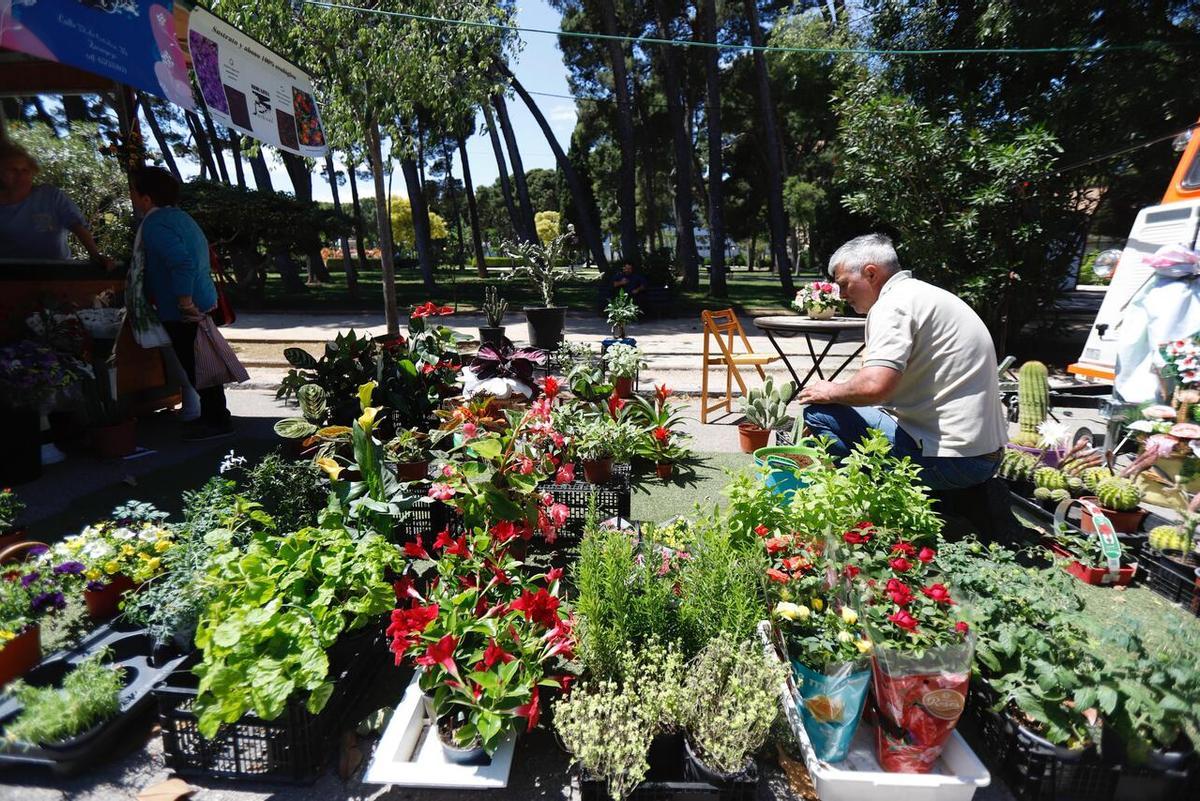 En imágenes | Presentación del Zaragoza Florece en el Parque Grande José Antonio Labordeta