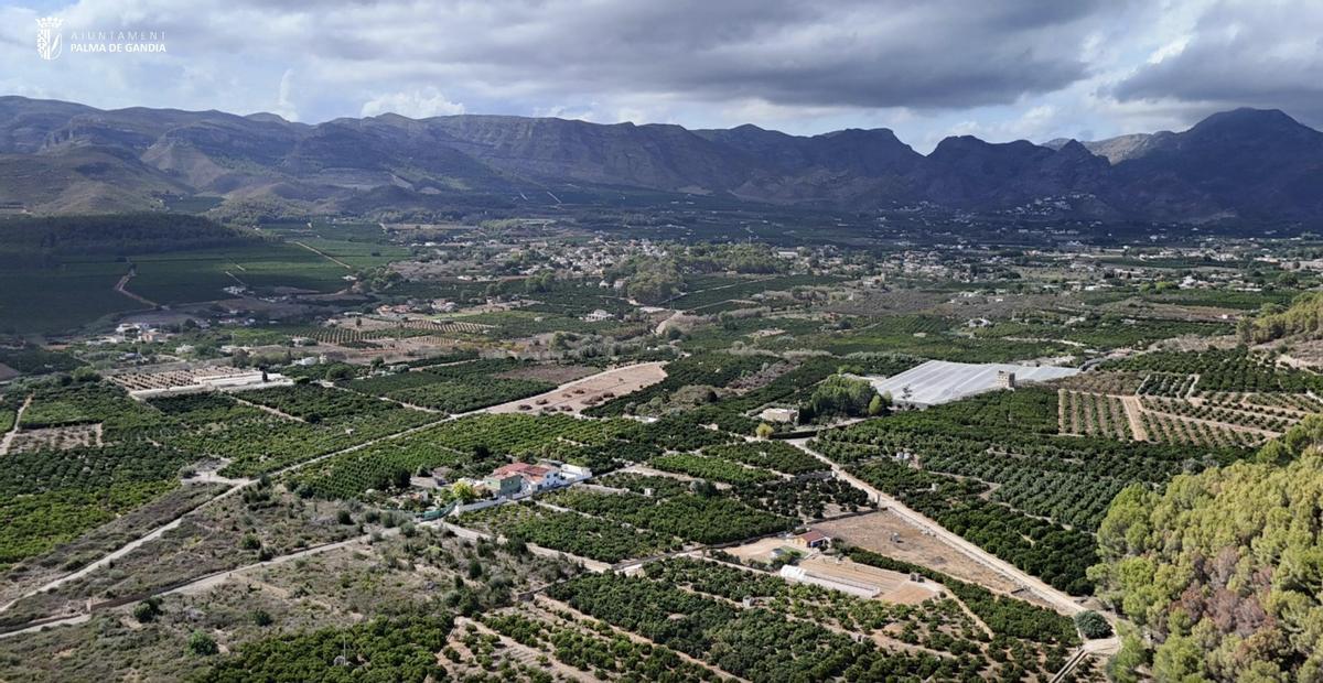 Vista de la partida de Marxuquera en Palma de Gandia