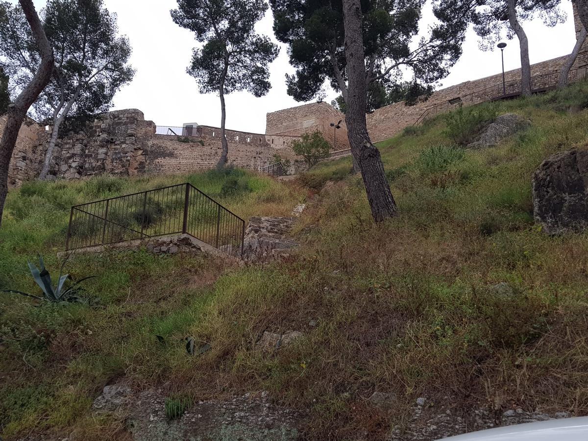 Zona de la ladera donde se pevé actuar.
