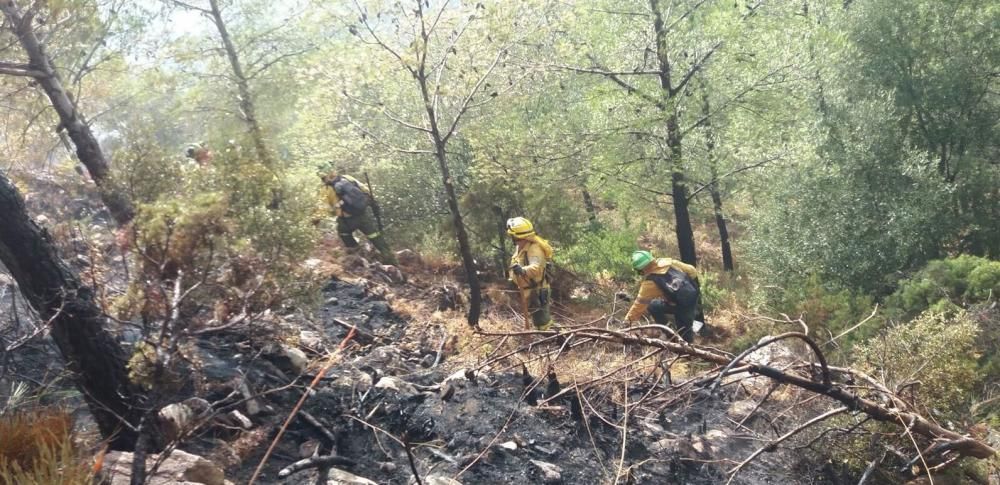 Incendio forestal en El Higuerón en Mijas