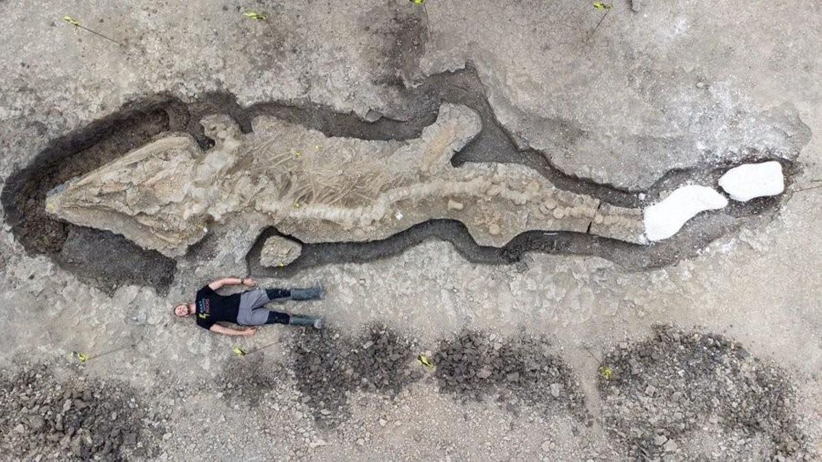 Trobat un ‘drac marí’ de 10 metres fossilitzat en una reserva natural anglesa