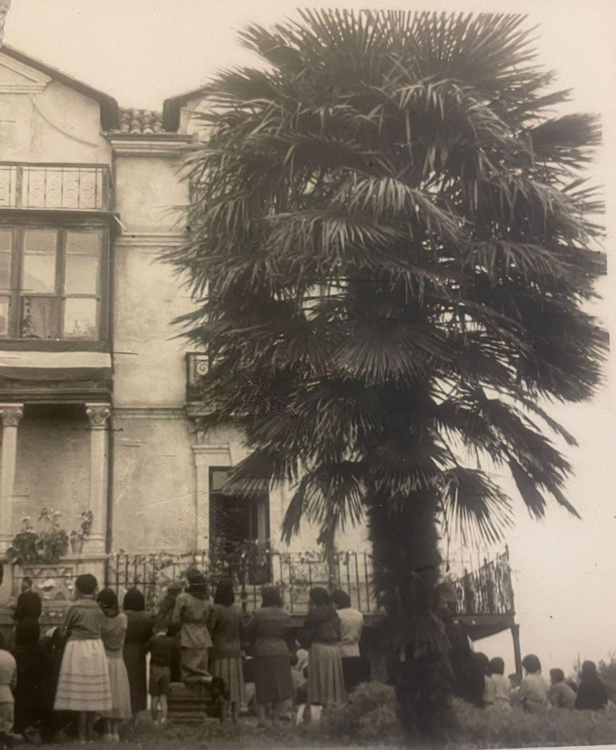 La Quinta Ybáñez con palmeras.