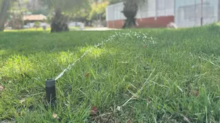 Un nuevo sistema de riego en Murcia ahorra hasta un 40% de agua