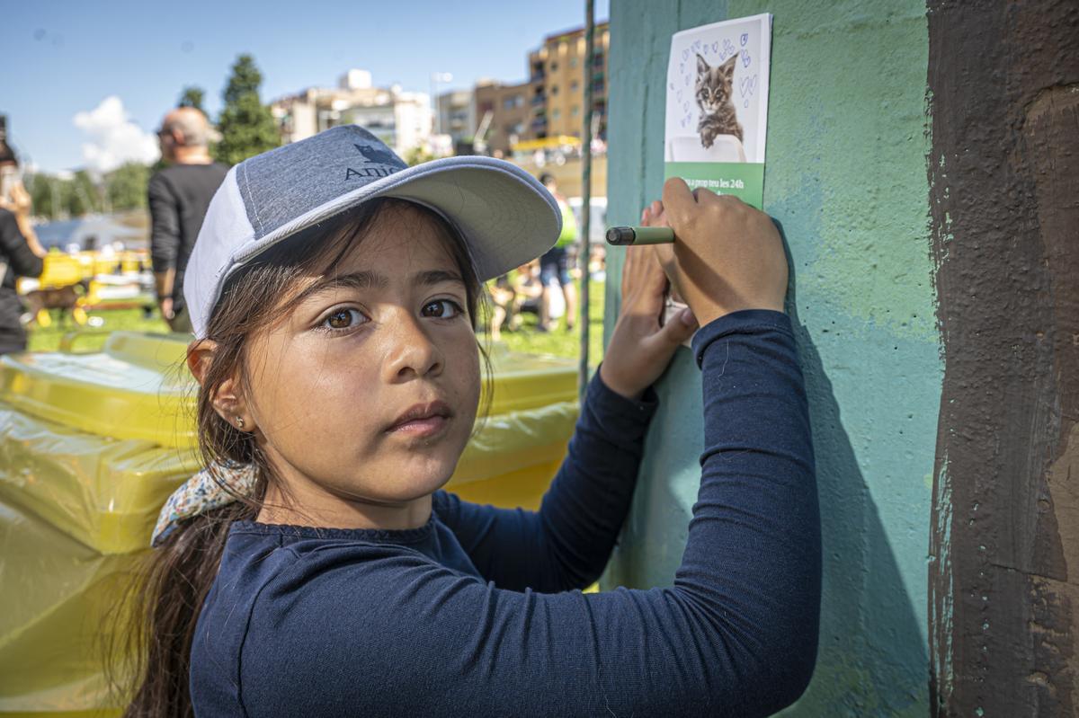 CAN WE RUN BARCELONA. La carrera organizada por Prensa Ibérica y El Periódico de Catalunya con la colaboración de Sport ,  donde las personas y sus mascotas perrunas corren en familia