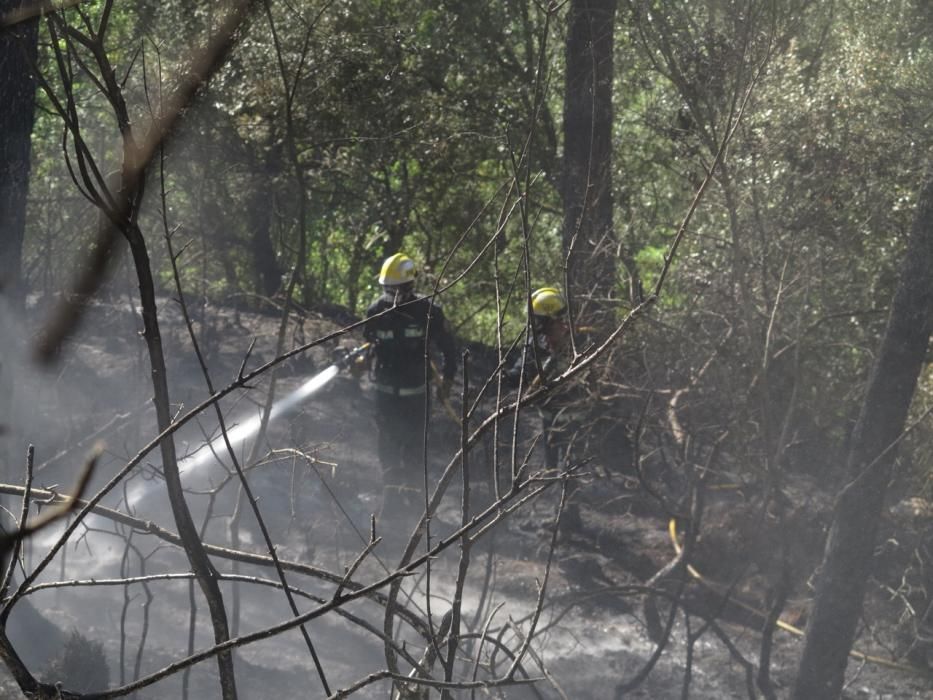 Waldbrand bei Puigpunyent