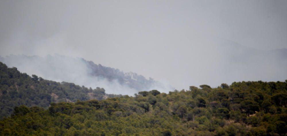 Andilla: ocho años desde su gran incendio