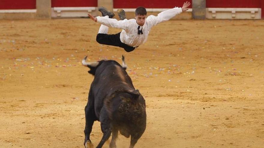 Festejos taurinos populares para todos los gustos