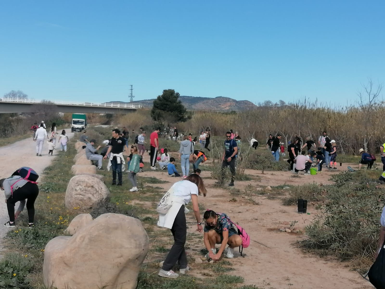 Niños y niñas de Canet d'En Berenguer plantan árboles en el rio Palancia