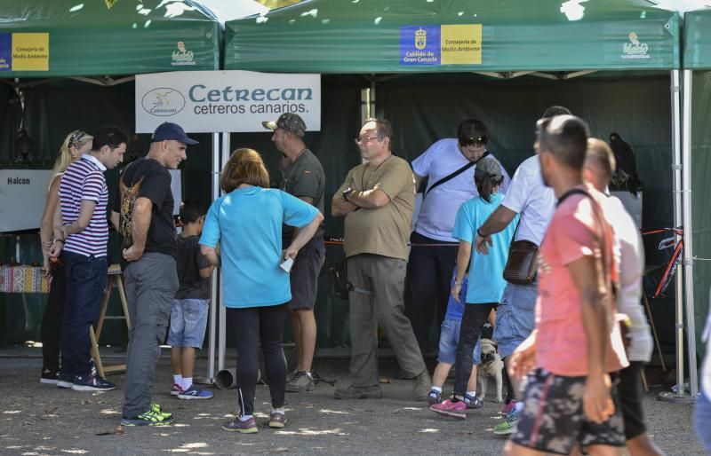 Feria Insular de Caza