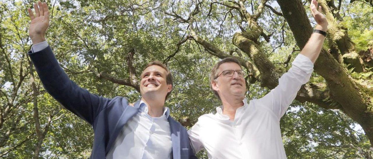 Pablo Casado y Alberto Núñez Feijóo.