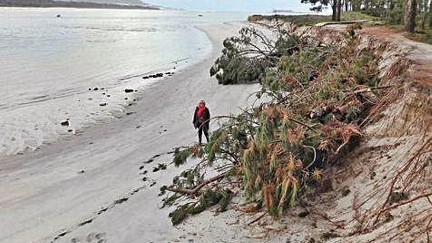 Efectos de la erosión en una playa gallega.