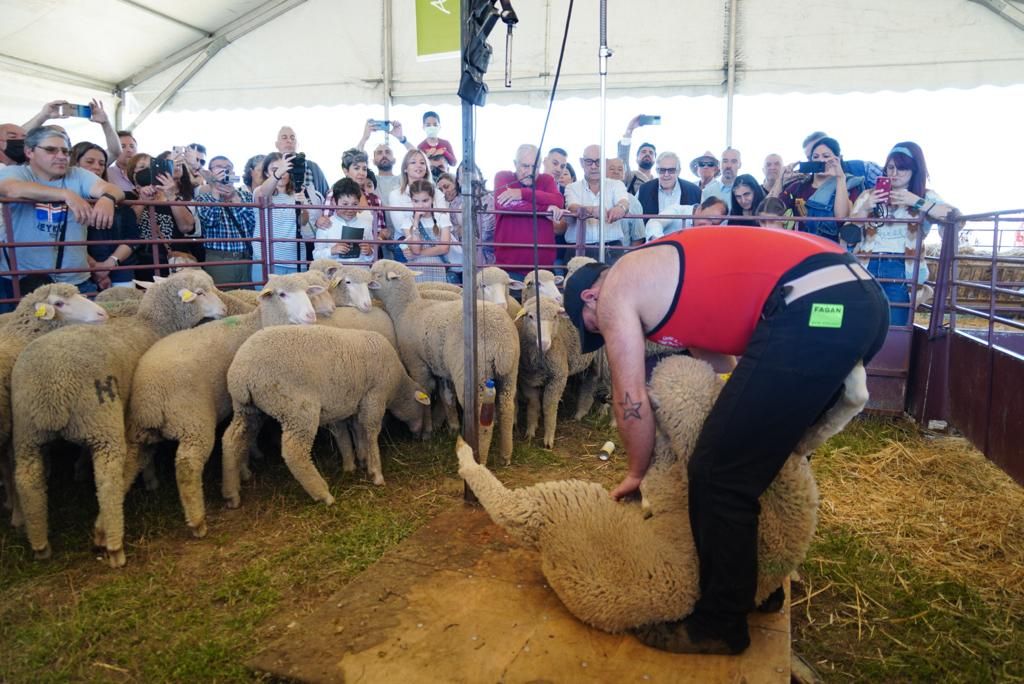 Villaralto celebra su Feria del Pastoreo