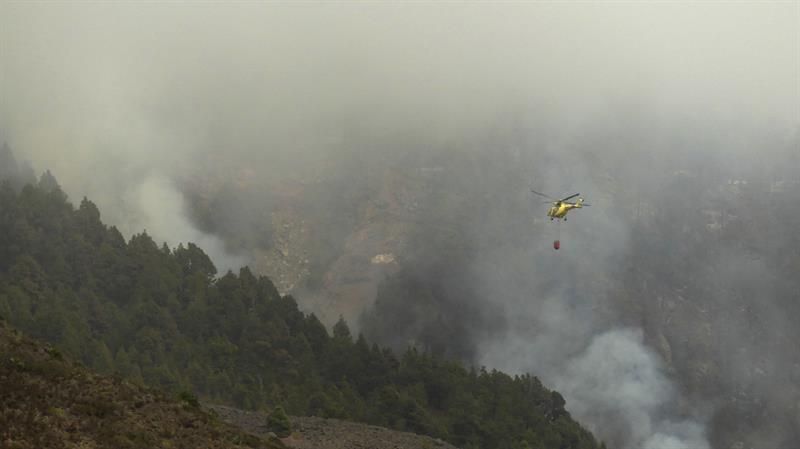 Incendio forestal en la zona de Montaña de Jedey