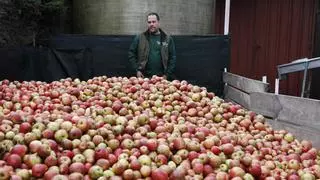 Germán Guardado, único llagarero de Ávilés