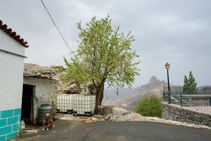 Restos del incendio en la cumbre  | 25/08/2019 | Fotógrafo: Tony Hernández