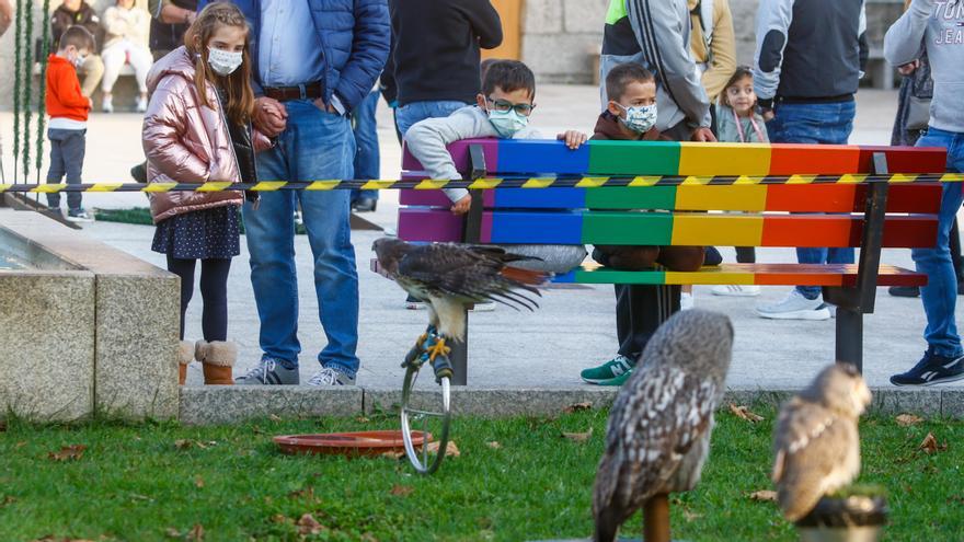 Niños y mayores contemplan las aves rapaces en la plaza da Feira