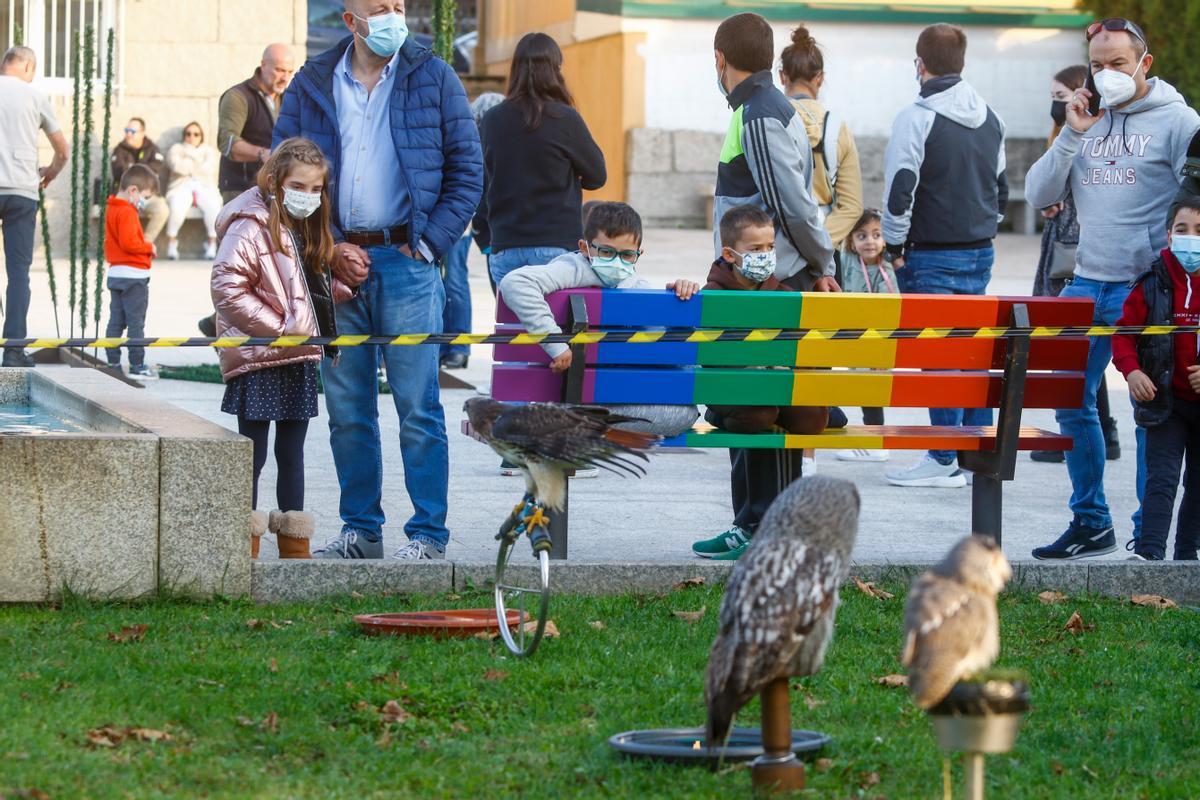 Niños y mayores contemplan las aves rapaces en la plaza da Feira