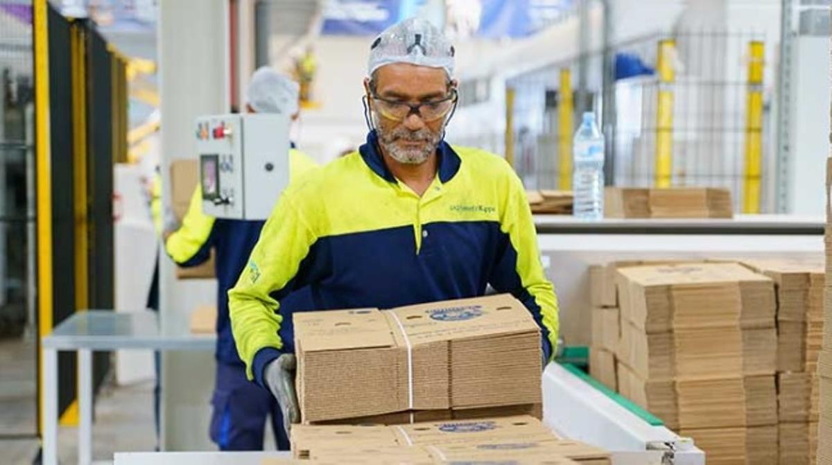 Operario de producción para el sector de la alimentación en Girona