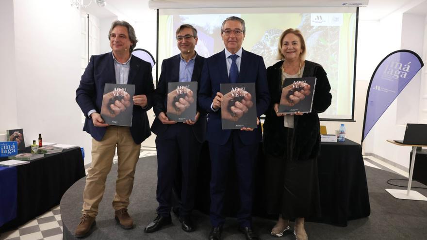 Diputación edita un libro sobre orígenes e historia de los aceites de oliva virgen extra de Málaga