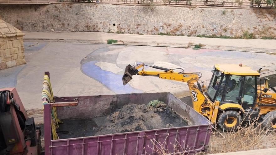 Aigües d'Elx retira unas 80 toneladas de lodos y residuos del cauce urbano del Vinalopó