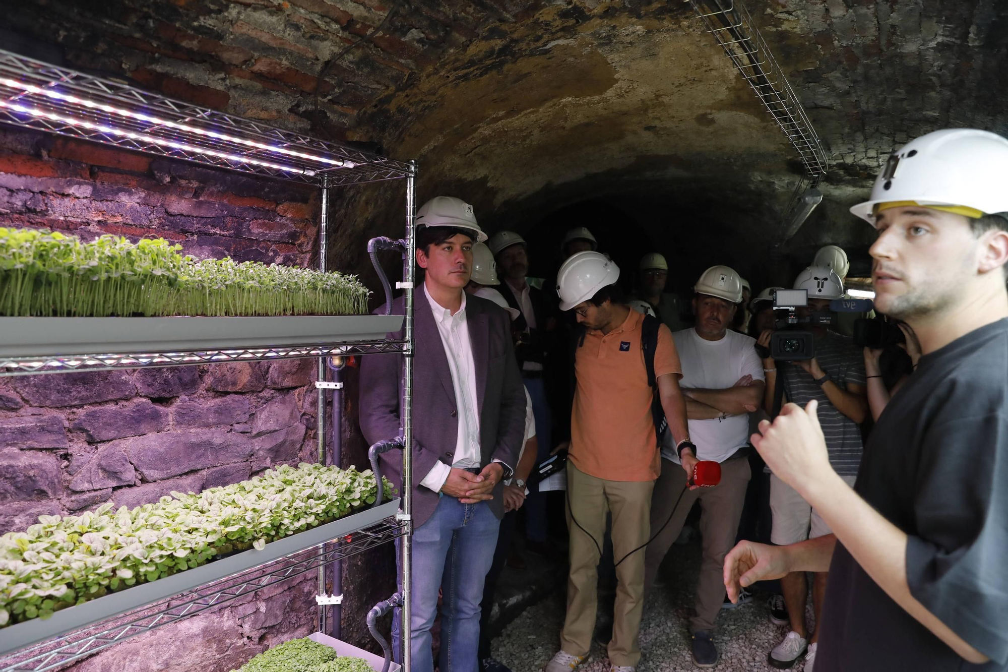De Laviana a la Luna: así son los experimentos con cultivos subterráneos que se hacen en Carrio