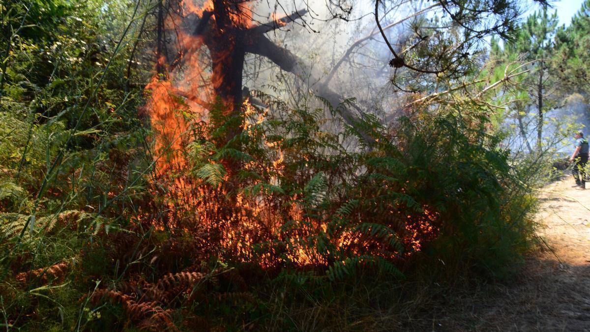 Trabajos de extinción del incendio en Barra (Cangas)
