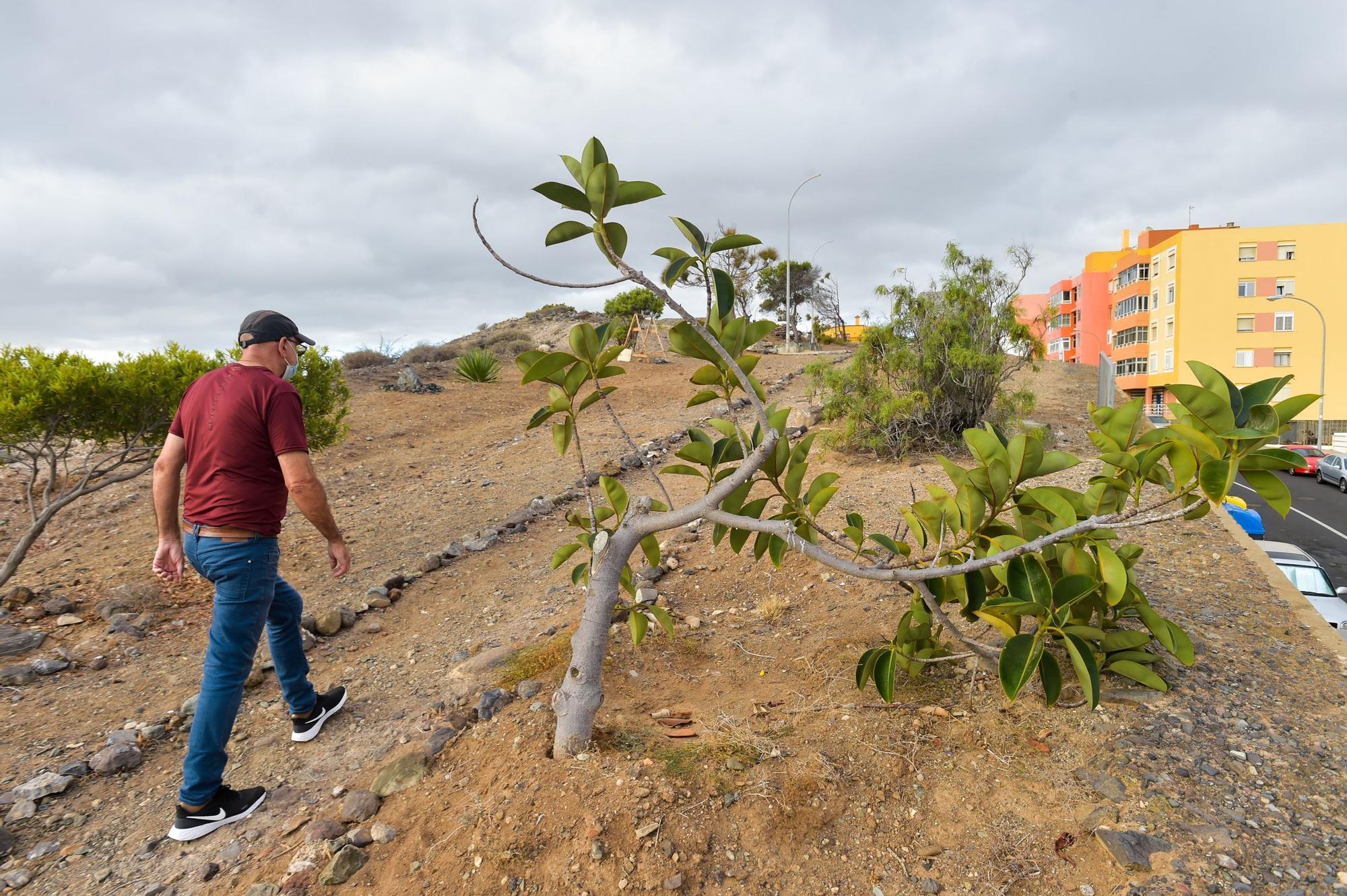 Unos vecinos plantan en un terreno yermo de El Batán