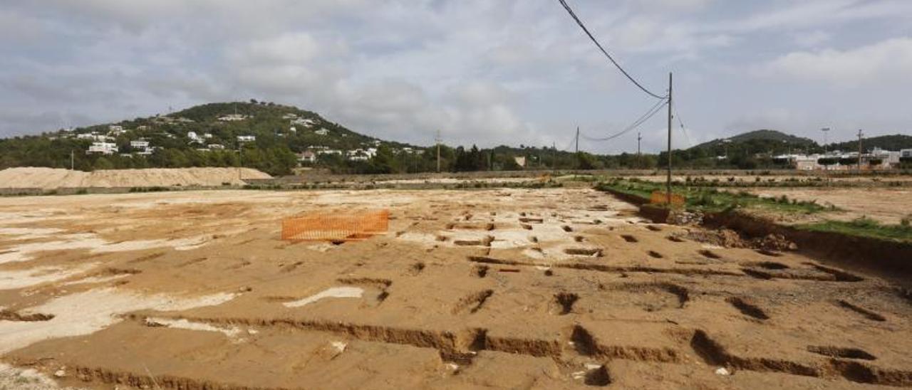 Las antiguas zanjas de cultivo desenterradas en el terreno donde se proyecta el hospital. | VICENT MARÍ