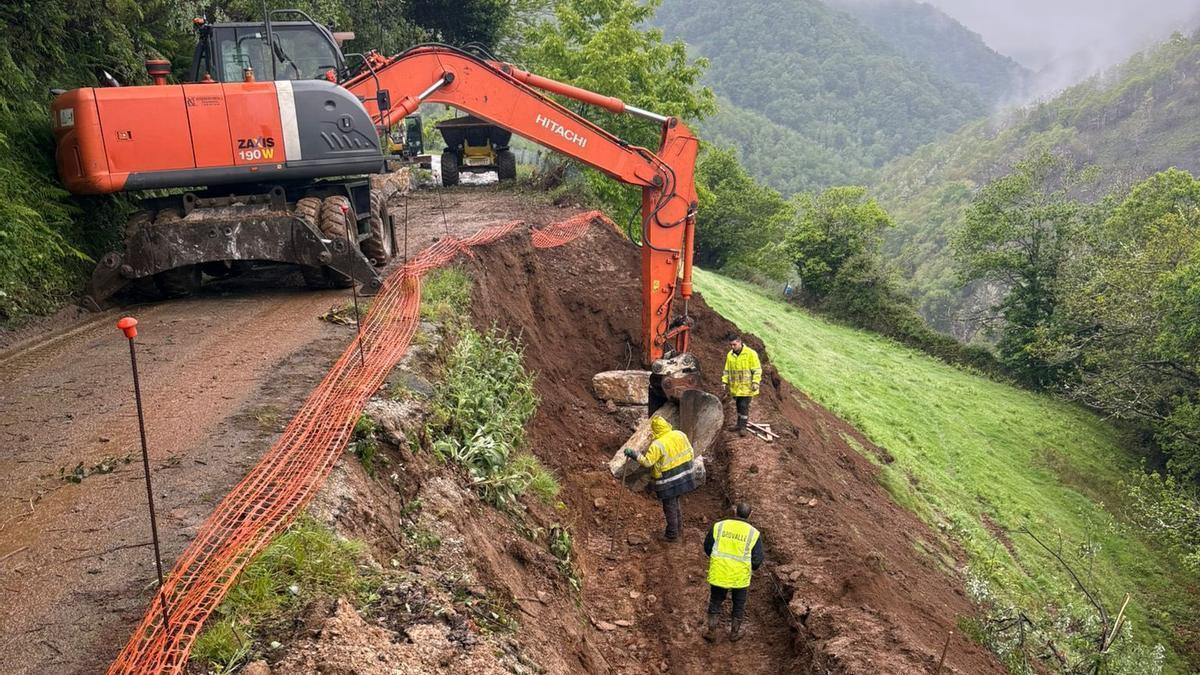 Los trabajos en la fana.