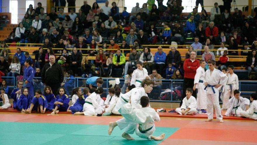 El judo zamorano firma doce medallas en el Regional de Edad