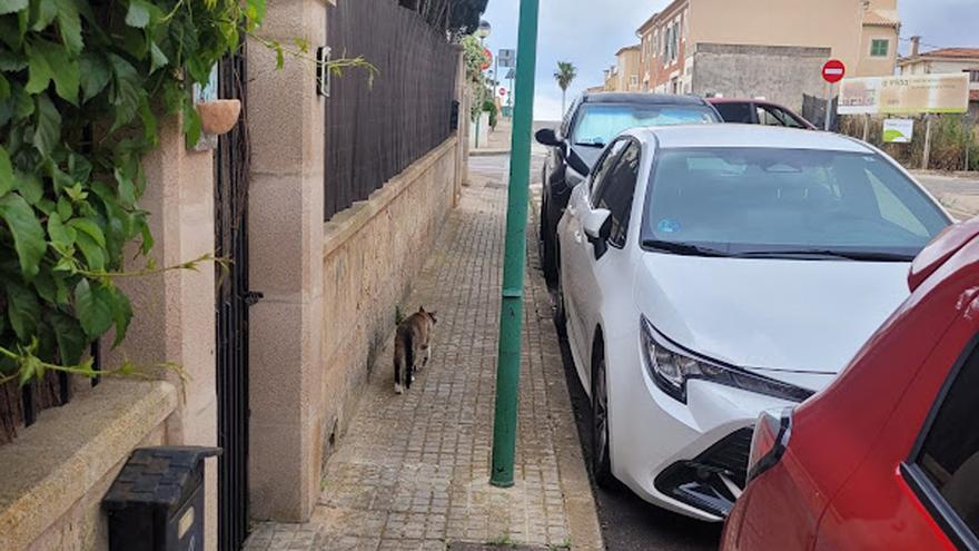 Las aceras de Marratxí, una gincana peligrosa