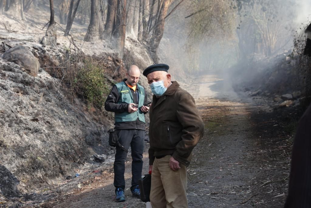 EN IMÁGENES | El fuego llega a Oviedo: el monte Naranco en llamas