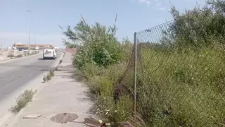 La Laguna de Los Prados, coladero de vándalos