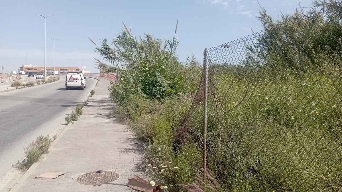Entrada vandalizada a la Laguna de Los Prados, este mes.