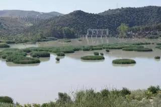 La CHG adjudica la mejora del canal principal del Genil-Cabra en el término de Puente Genil