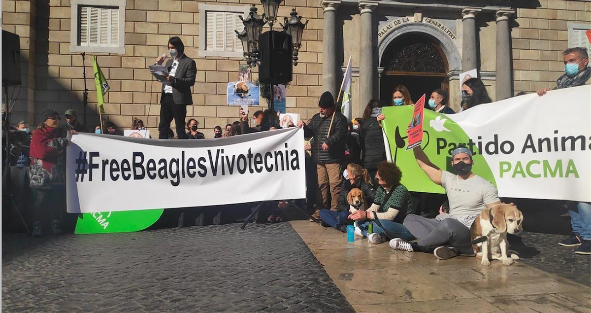 Protesta en Barcelona contra el ensayo