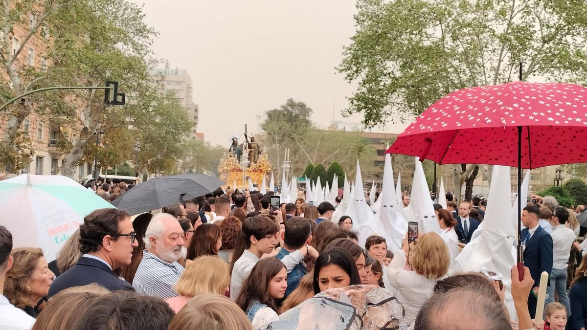 Paraguas en Capitanía.