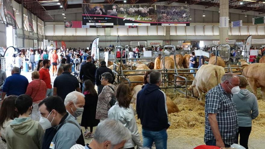 Visitantes en la exposición de ganado de la anterior edición de la Semana Verde de Galicia.