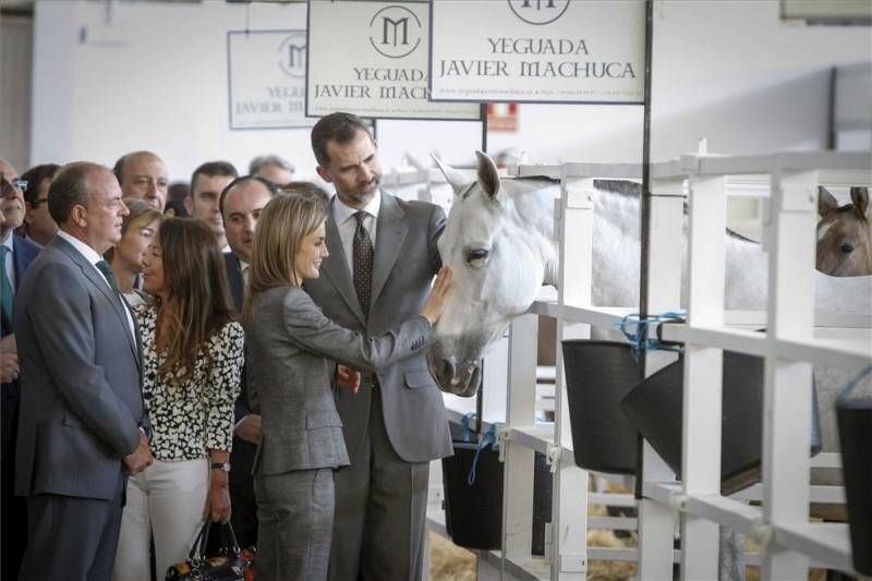 Visita de los reyes a Zafra en imágenes