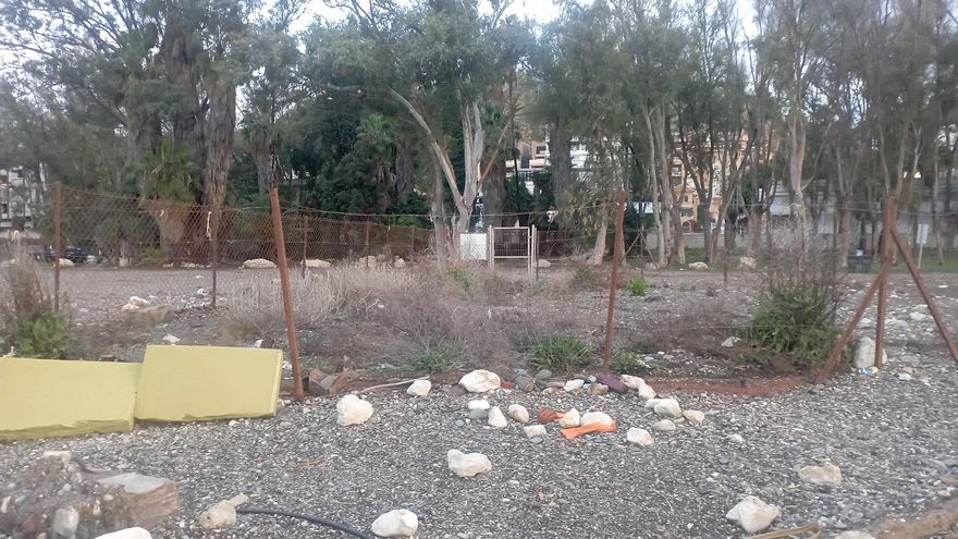 El Limonium de los Baños del Carmen, heroico superviviente