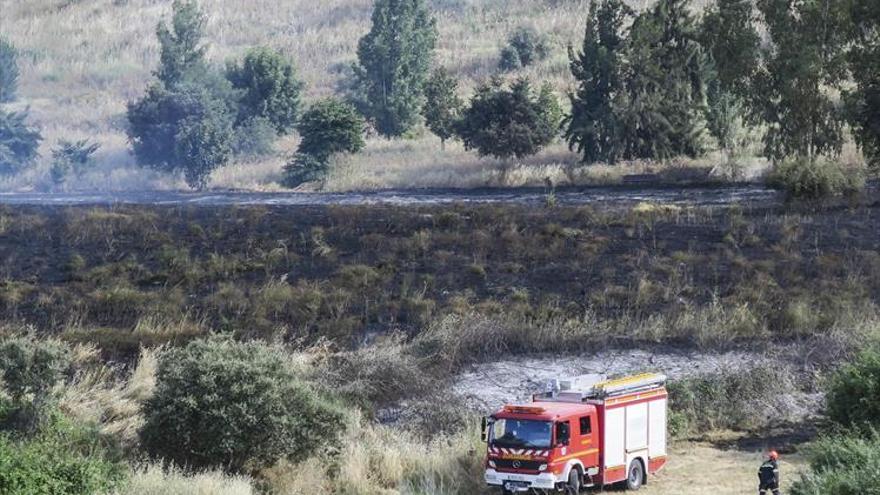 Un incendio junto al Paseo Alto quema tres hectáreas de pastos en Cáceres