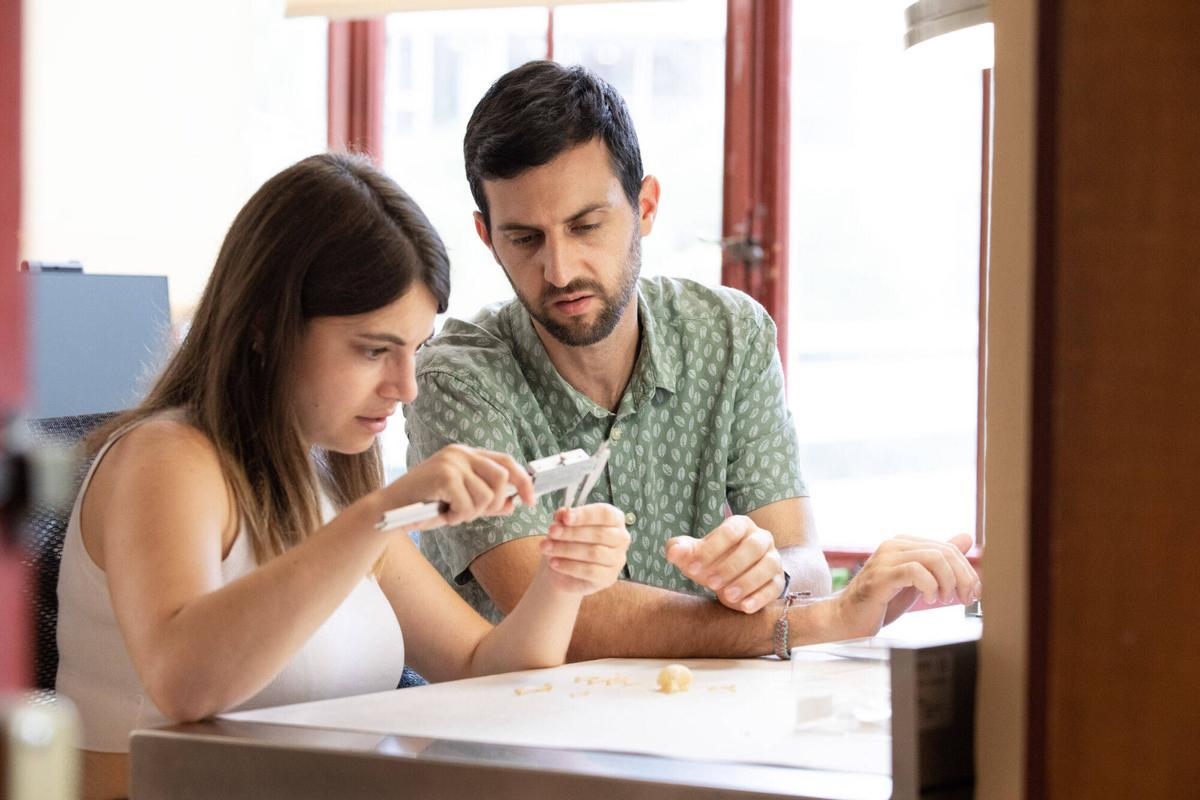 Natàlia Martínez y Ferran Sayol, coautores del estudio e investigadores de Creaf, toman medidas para realizar estudios evolutivos sobre la paloma de Nicobar (Caloenas nicobarica)