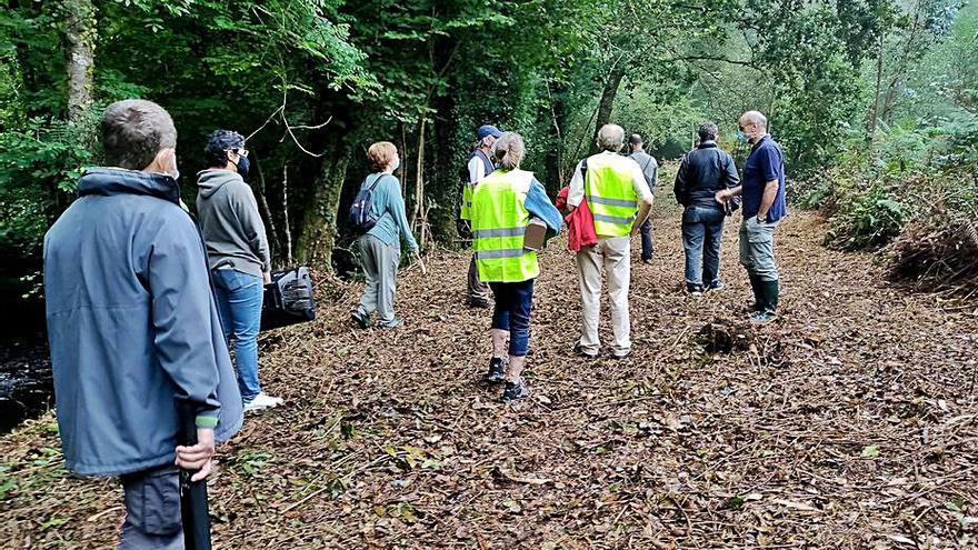 Ecologistas denuncian la ejecución de una senda fluvial ilegal por el Mendo