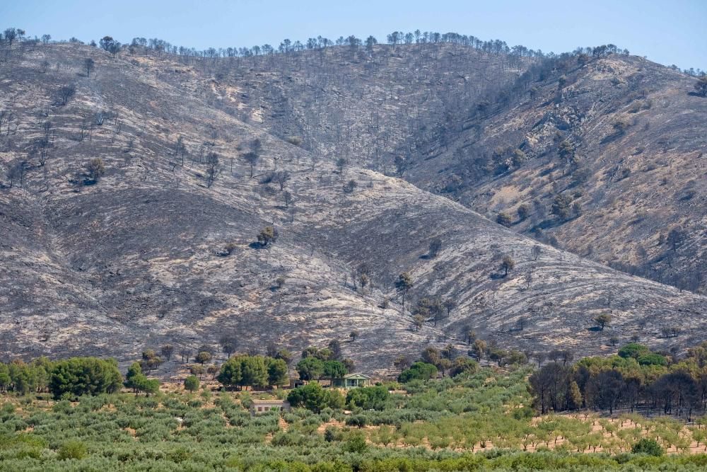 Así ha quedado la zona tras el incendio.