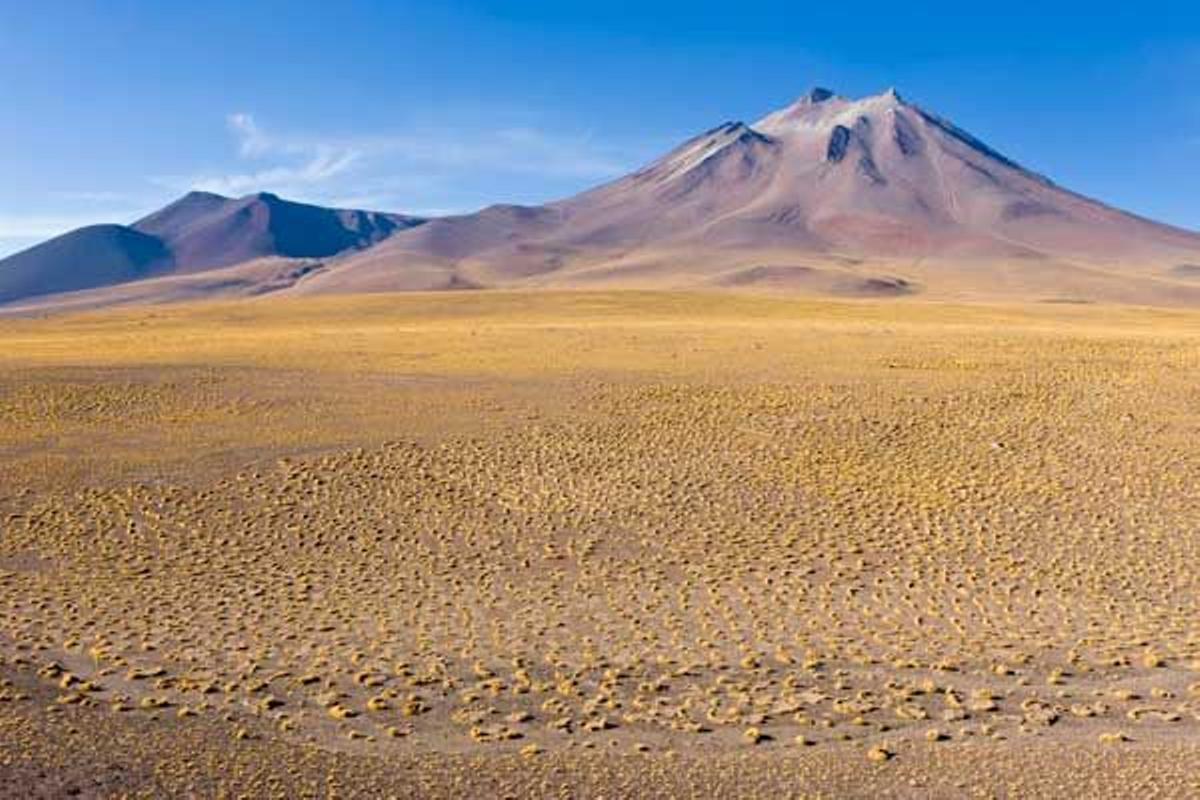 El pico Cerro Miniques tiene una altura de 5910 metros.