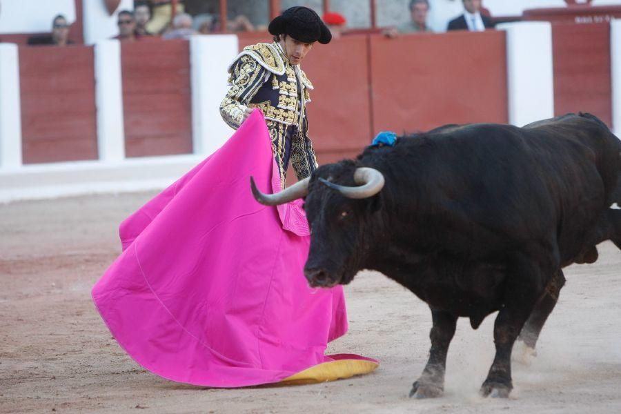 Toros en Zamora