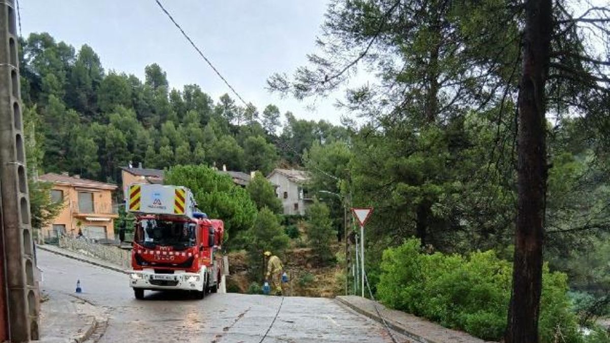 Els Bombers treballant en la caiguda d'un arbre sobre cables a Castellgalí